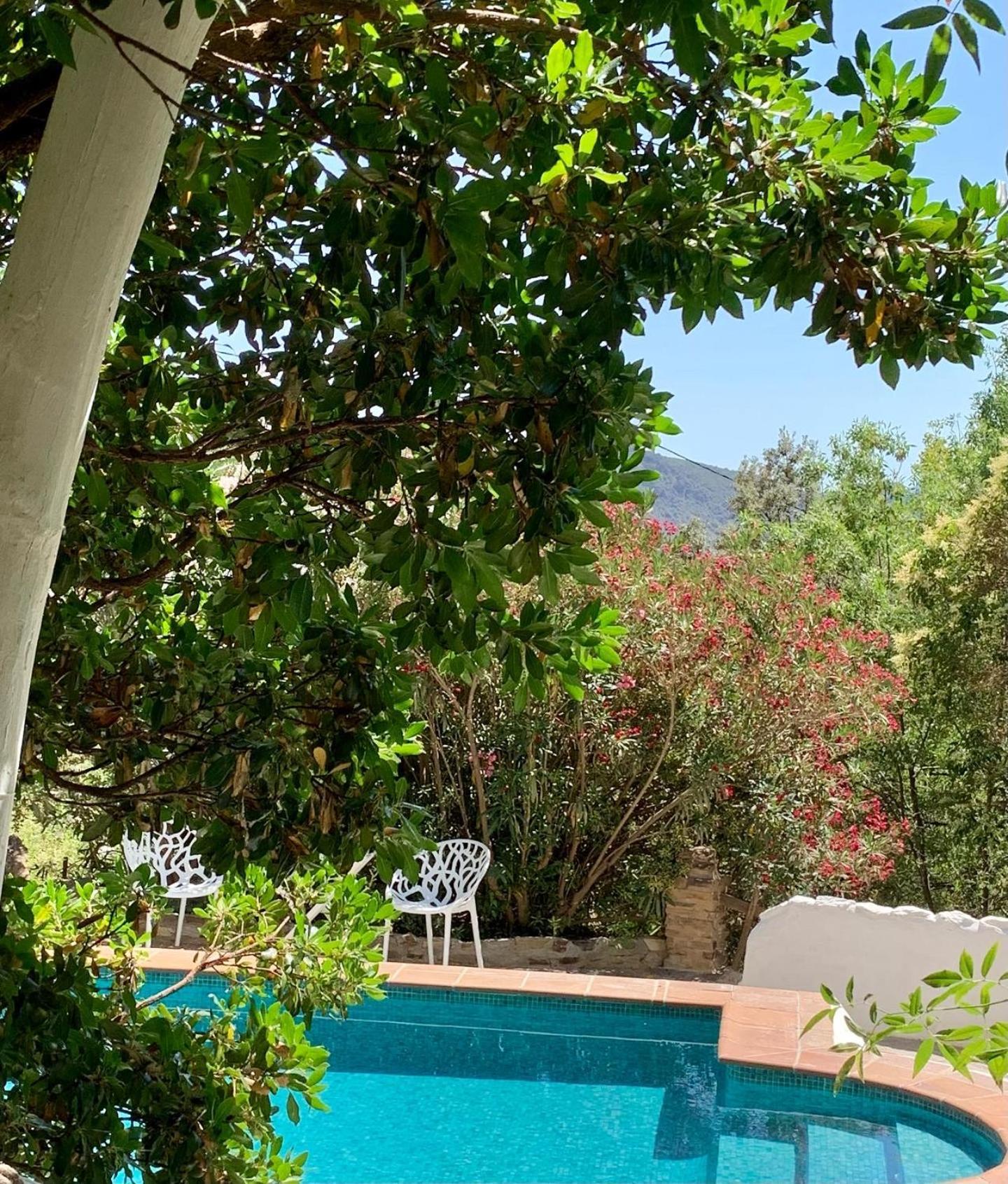 Villa Cortijo La Vinuela à Atalbeitar Extérieur photo