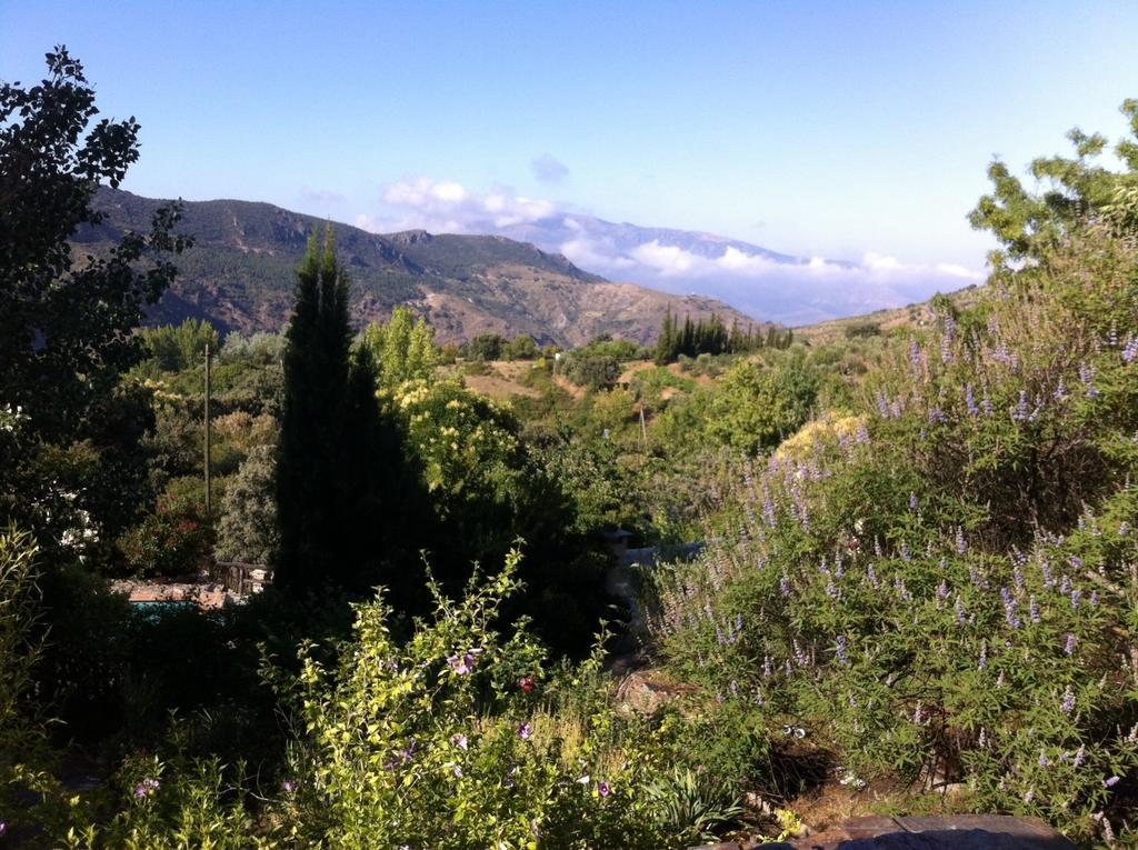 Villa Cortijo La Vinuela à Atalbeitar Extérieur photo